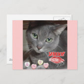 バレンタインデーロシアのブルーグレー猫 シーズンポストカード (正面/裏面)