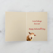 バレンタインデー愛エウェおもしろいヒツジ動物ユーモア シーズンカード (内部)