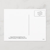 バレンタインデー提案マルティーニレシピカード シーズンポストカード (裏面)