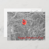 バレンタインデー深紅色はがき シーズンポストカード (正面/裏面)