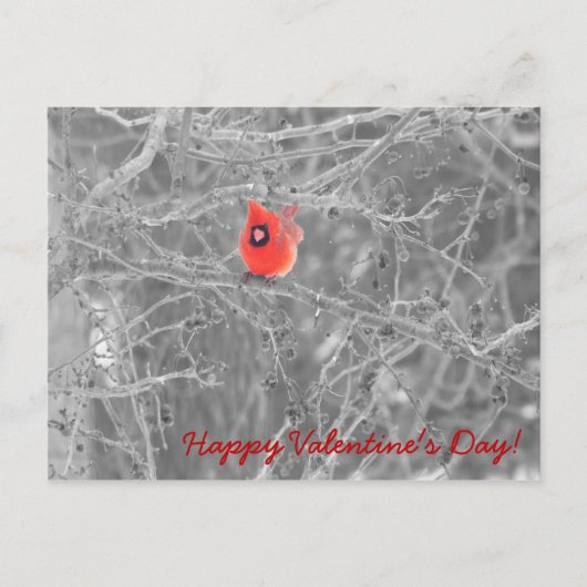 バレンタインデー深紅色はがき シーズンポストカード (正面)