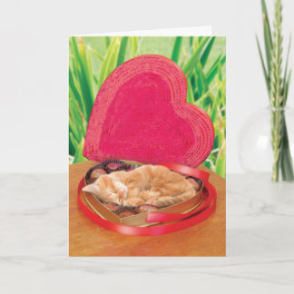 バレンタインデー猫カードおもしろいでかわいく愛らしいベスト シーズンカード