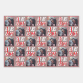 バレンタインデー素朴ラブエクソキフォトギフト ラッピングペーパーシート (正面3)