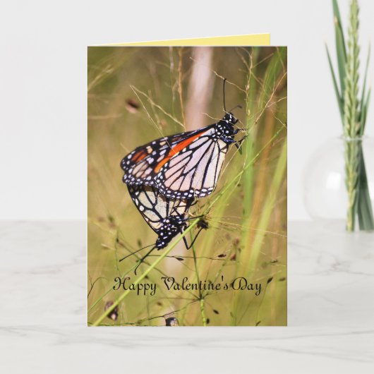 バレンタインデー（昆虫）オオカバマダラ、モナークバタフライペア シーズンカード (正面)