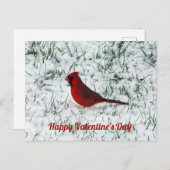 バレンタインデー(鳥)ショウジョウコウカンチョウ ポストカード (正面/裏面)