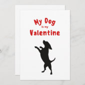 バレンタインデー XOXO かわいいペット子犬犬の写真 休日 シーズンカード (正面/裏面)