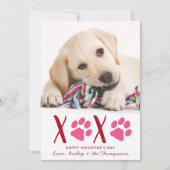 バレンタインデーXOXOかわいいペットの子犬の写真 シーズンカード (正面)