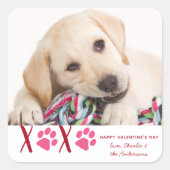 バレンタインデーXOXOかわいいペットの子犬の写真 スクエアシール (正面)