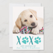 バレンタインデーXOXOかわいい子犬の写真 シーズンカード (正面)