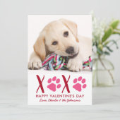 バレンタインデーXOXOかわいい子犬ペットドッグフォト シーズンカード (スタンド正面)
