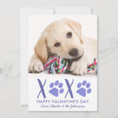 バレンタインデーXOXOかわいい子犬ペット写真 シーズンカード (正面)