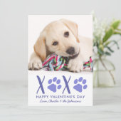 バレンタインデーXOXOかわいい子犬ペット写真 シーズンカード (スタンド正面)