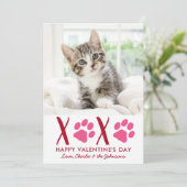 バレンタインデーXOXOかわいい子猫ペットキャットフォト シーズンカード (スタンド正面)