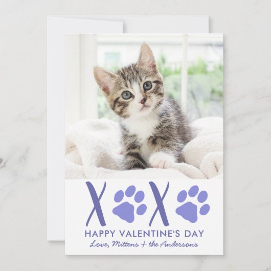 バレンタインデーXOXOかわいい子猫ペット写真 シーズンカード (正面)