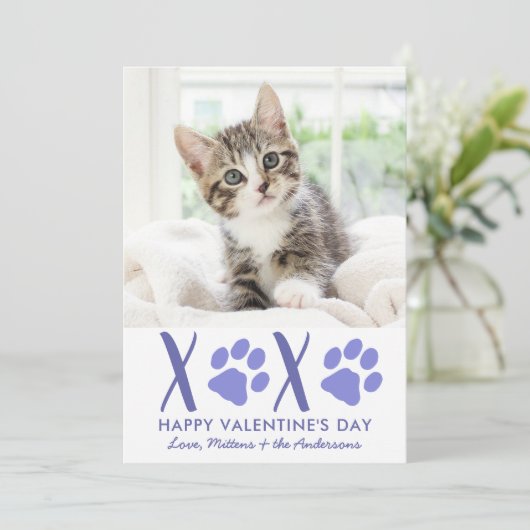 バレンタインデーXOXOかわいい子猫ペット写真 シーズンカード (スタンド正面)