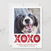 バレンタインデーXOXOペットドッグの写真 シーズンカード (正面)