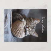 バレンタインネコ ポストカード (正面)