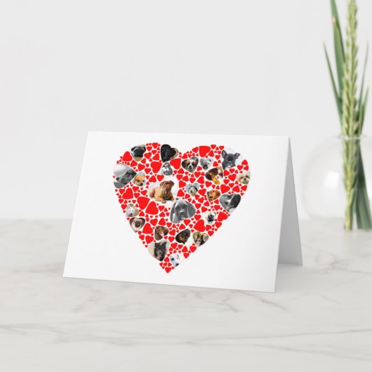 バレンタインハートドッグフォトコラージュ シーズンカード (正面)