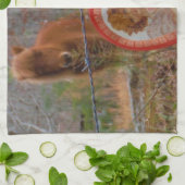 バレンタインハートミニチュアブラウンホース キッチンタオル (折り畳み)