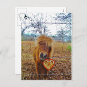 バレンタインハートミニチュアブラウンホース シーズンポストカード (正面/裏面)