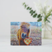 バレンタインハート馬 シーズンポストカード (スタンド正面)