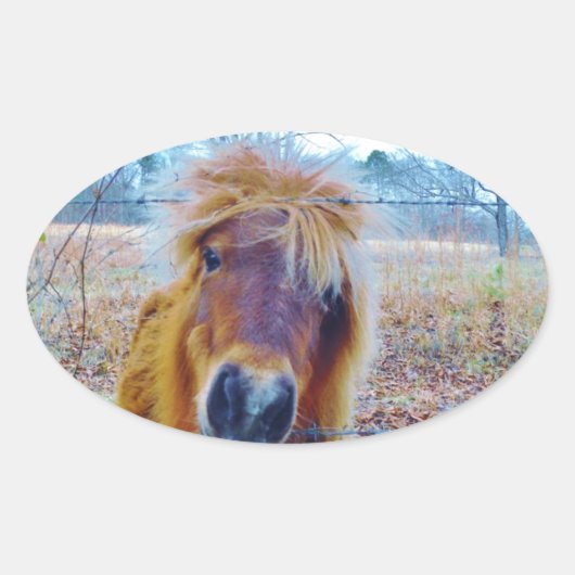 バレンタインハート馬 楕円形シール (正面)