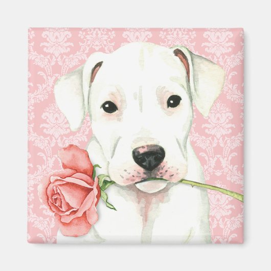 バレンタインバラドゴ マグネット (正面)