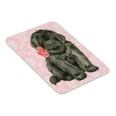 バレンタインバラニューファンドランド マグネット (右側)