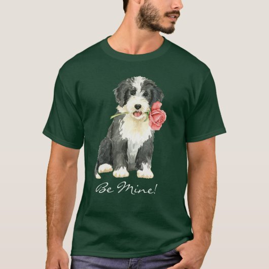 バレンタインバラベアディ Tシャツ (正面)
