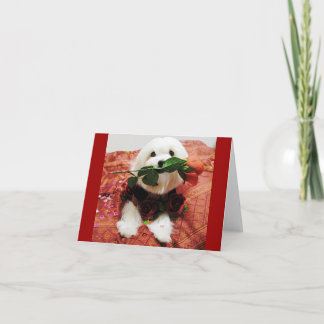 バレンタインバラ空白の（内部） シーズンカード