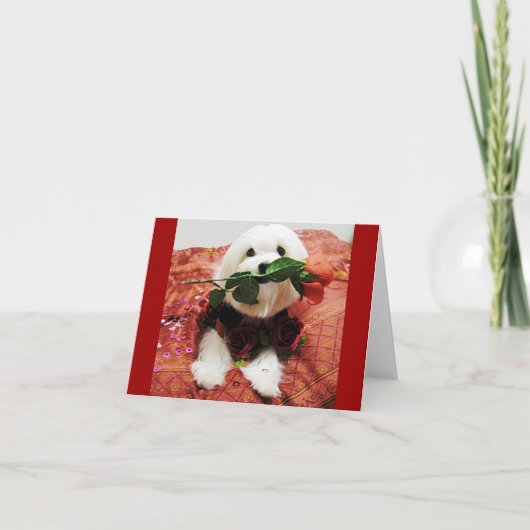 バレンタインバラ空白の（内部） シーズンカード (正面)