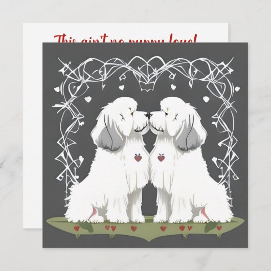 バレンタイン旧英語シェプドッグスウィートアーツラブ シーズンカード (正面/裏面)