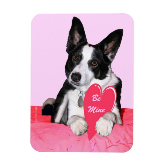 バレンタイン磁石 – "Magpie" マグネット (縦)