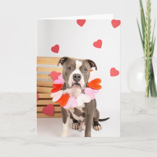 バレンタイン カード (正面)