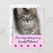 バレンタイン·キッテン·ポストカード シーズンポストカード (正面/裏面)