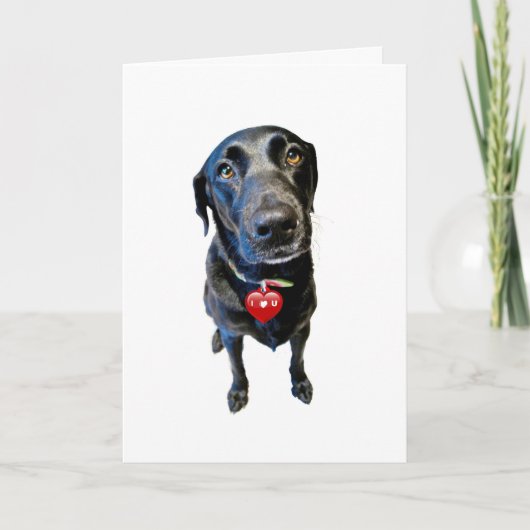 バレンタイン シーズンカード (正面)