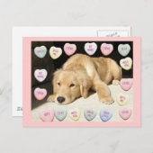 バレンタイン·デー·ゴールデン·レトリバー シーズンポストカード (正面/裏面)