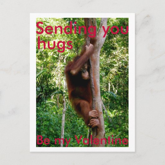 バレンタイン・ハグ・ハガキ シーズンポストカード (正面)