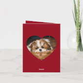 バレンタイン ハート シー・ズー 愛 カスタム写真 名前 カード (裏面)