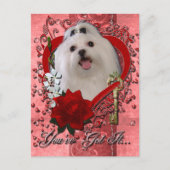 バレンタイン-私のハートへの鍵-マルチーズ シーズンポストカード (正面)