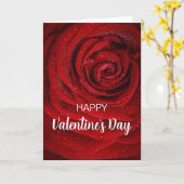 バレンタイン 赤いバラ カード (黄色い花)