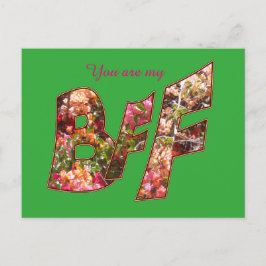 バレンタインBFF友情はがき シーズンポストカード