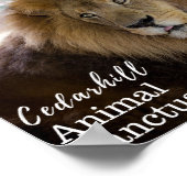 バレンチノ ポスター (角)