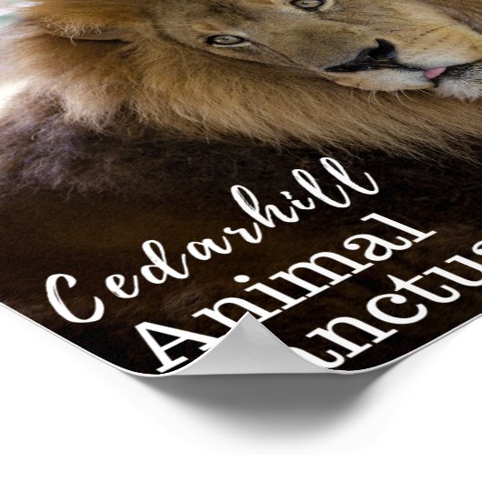 バレンチノ ポスター (角)