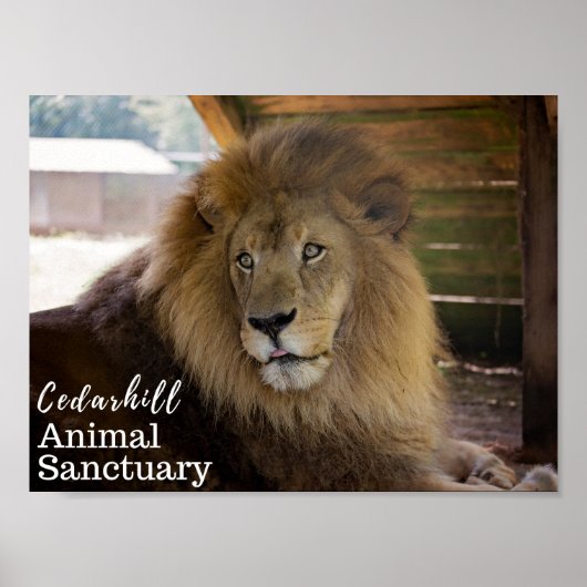 バレンチノ ポスター (正面)