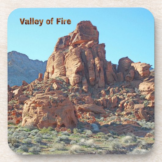 バレーオブファイア州パーク コースター (正面)