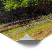 バレーオークツリー ポスター (角)