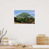 バレーオークツリー ポスター (キッチン)