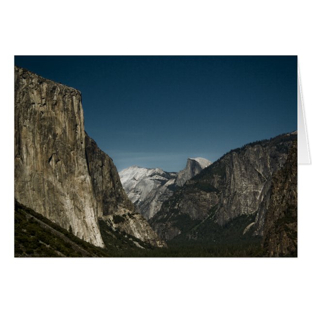 バレーガーディアンカード (正面横)