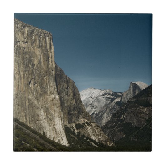 バレーガーディアンタイル タイル (正面)